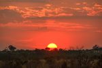 Sunset, Chobe Savute National Park, Botswana