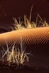 Dunes, Sossusvlei, Namibia