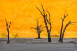 Dead Vlei at sunrise, Sossusvlei, Namibia