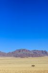 Namib Desert, Namibia