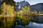 Early Morning, Spring, Yosemite