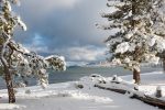Morning after snowfall, Lake Tahoe