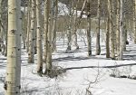 Aspen, Hope Valley