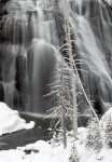Gibbon Falls, Yellowstone